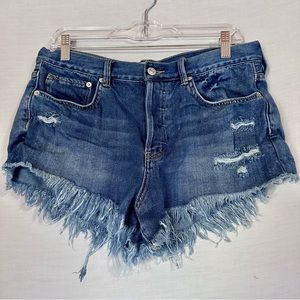 We the Free Distressed Jean Shorts Fringe 29